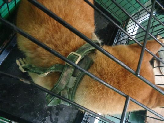 3枚目写真