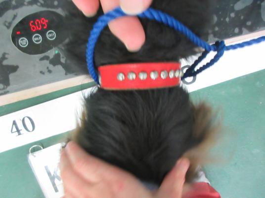 3枚目写真