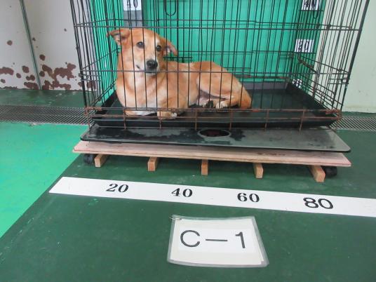 3枚目写真