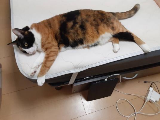 3枚目写真