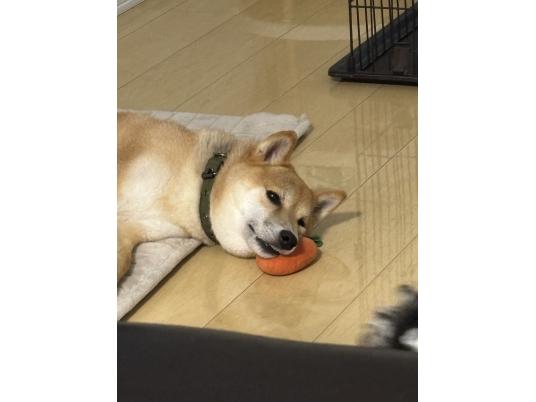 3枚目写真