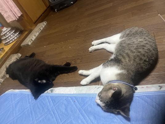 3枚目写真