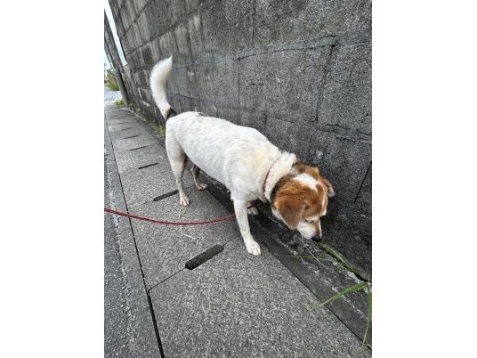 3枚目写真