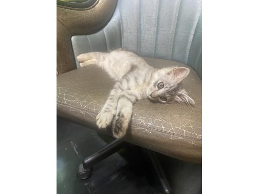 3枚目写真