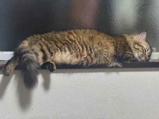 3枚目写真