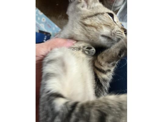 3枚目写真