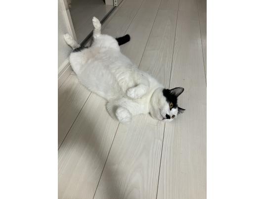 3枚目写真