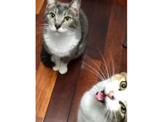 3枚目写真