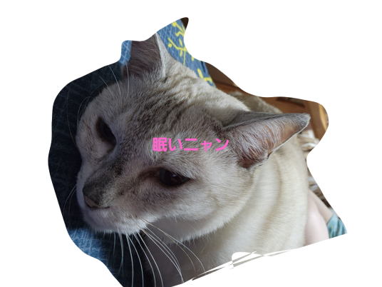 3枚目写真