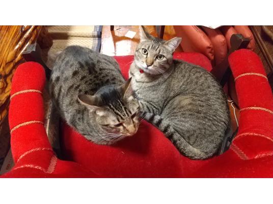 3枚目写真