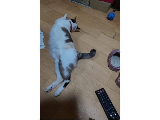 3枚目写真