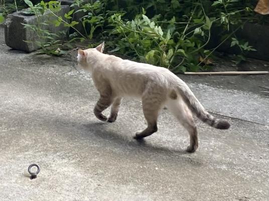 3枚目写真