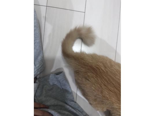 3枚目写真
