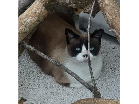 3枚目写真