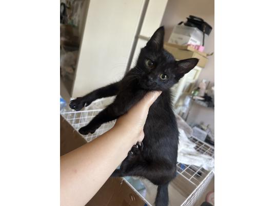 3枚目写真