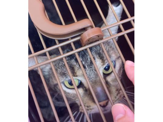3枚目写真