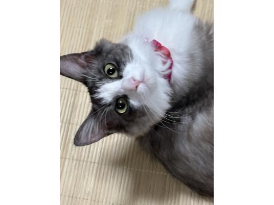 3枚目写真