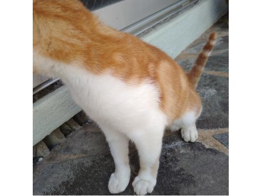 3枚目写真