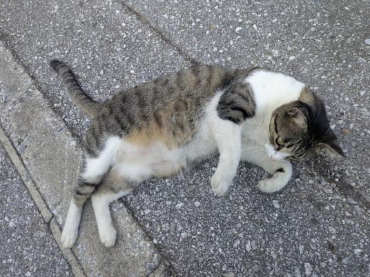 3枚目写真