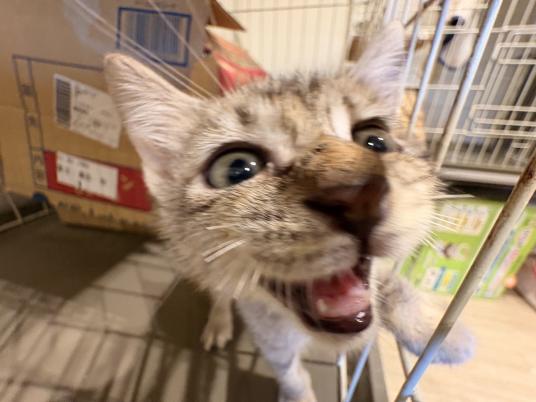 3枚目写真