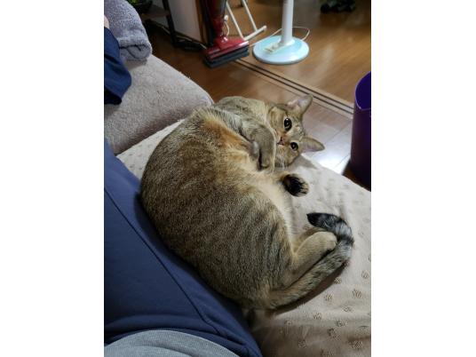 3枚目写真