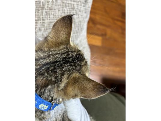 4枚目写真