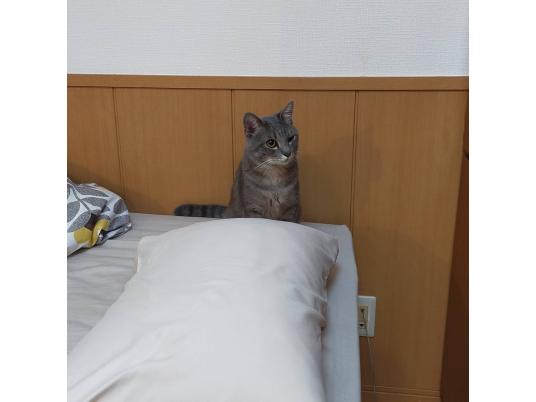 4枚目写真