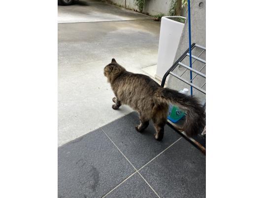 4枚目写真