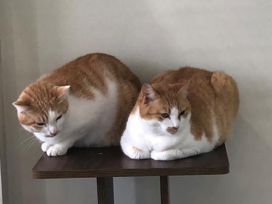 4枚目写真