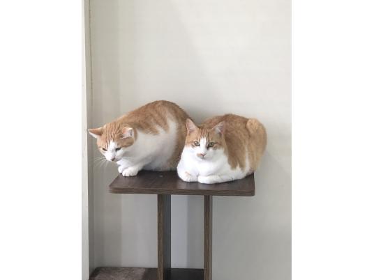 4枚目写真