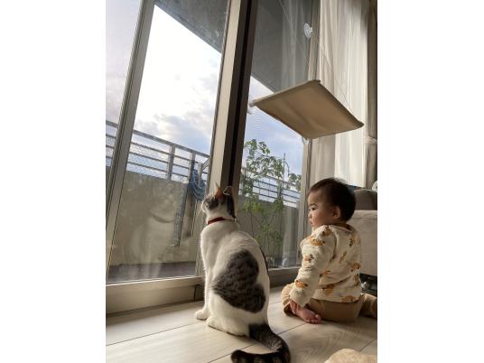 4枚目写真