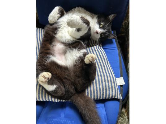 4枚目写真