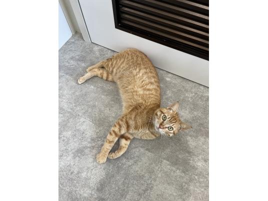 4枚目写真