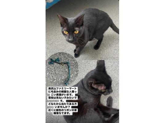 4枚目写真