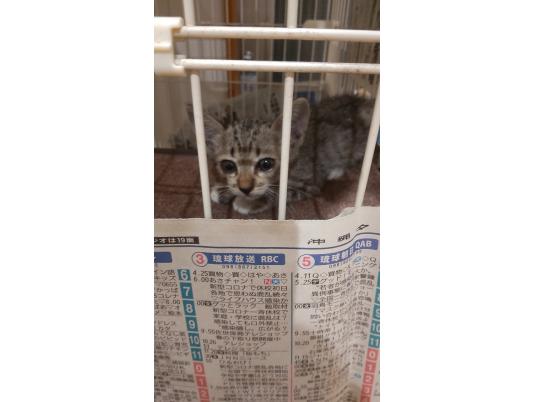 4枚目写真