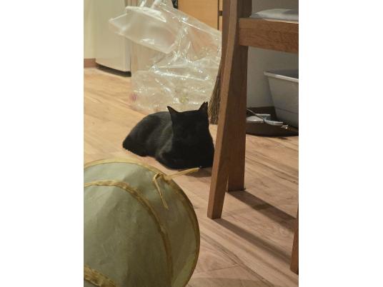 4枚目写真