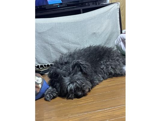 4枚目写真