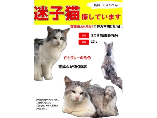 4枚目写真
