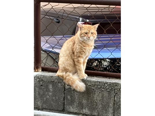 4枚目写真