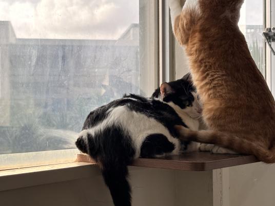 4枚目写真