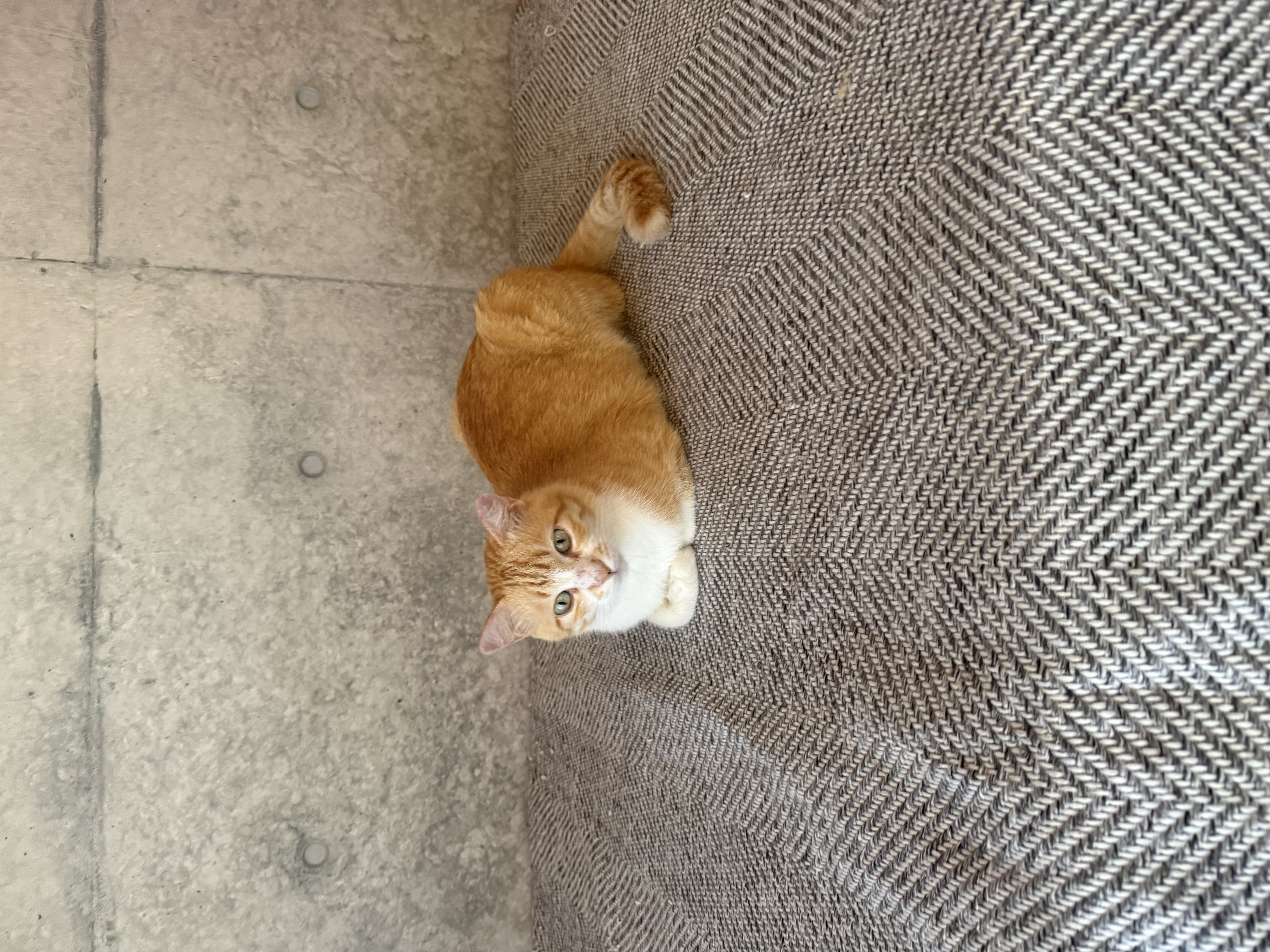 4枚目写真