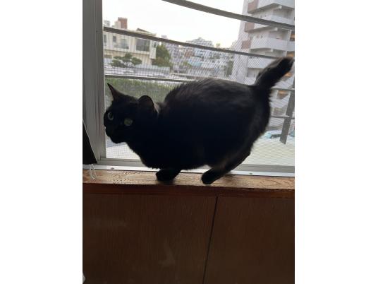 4枚目写真