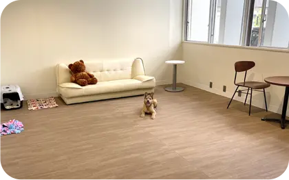 犬展示ふれあい室